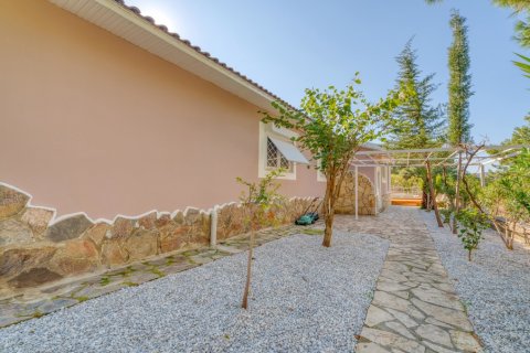 Wohnung in Alanya, Antalya, Türkei Nr. 228821 - 13