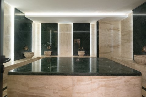 1+1 Wohnung in Mahmutlar, Antalya, Türkei Nr. 228825 - 17