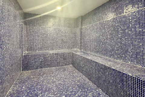 1+1 Lejlighed  i Alanya, Antalya, Tyrkiet Nr. 216581 - 21