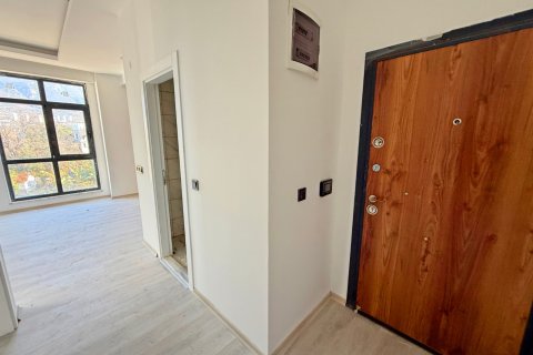 Daire 1+1 Alanya, Antalya, Türkiye №216582 - 12