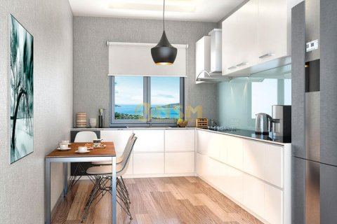 1+1 Wohnung in Istanbul, Türkei Nr. 105009 - 5