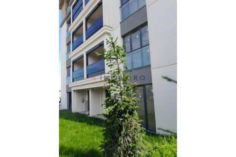 3+1 Lägenhet i Basaksehir, Istanbul, istanbul, Turkiet Nr. 228388 - 6