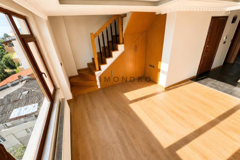 4+1 Lejlighed  i Beyoglu, Istanbul, Tyrkiet Nr. 237987 - 21