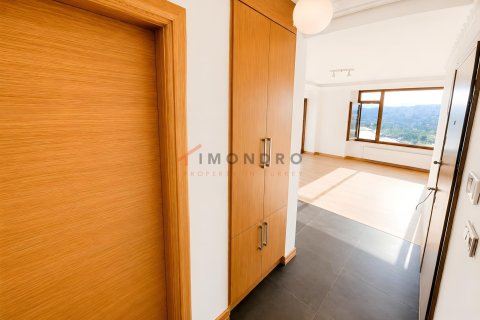4+1 Lejlighed  i Beyoglu, Istanbul, Tyrkiet Nr. 237987 - 17