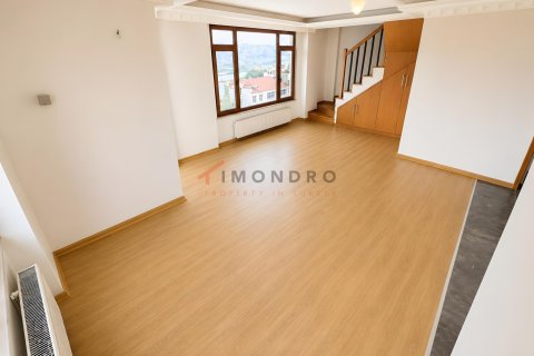 4+1 Lejlighed  i Beyoglu, Istanbul, Tyrkiet Nr. 237987 - 22