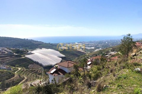 5+1 Lägenhet i Alanya, Antalya, Turkiet Nr. 92222 - 10