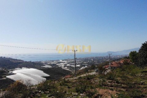 5+1 Lägenhet i Alanya, Antalya, Turkiet Nr. 92222 - 12