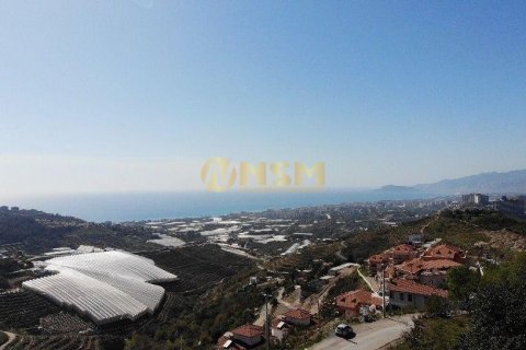 5+1 Lägenhet i Alanya, Antalya, Turkiet Nr. 92222 - 15