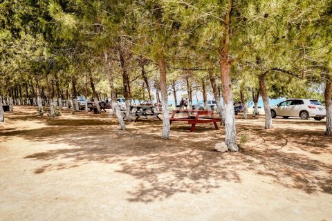 Продажа квартиры в Фамагусте, Северный Кипр 2+1, 79м2, №106031 – фото 13