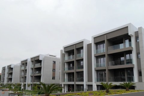 Pura Vida i Konyaalti, Antalya, Tyrkia Nr.212262 - 5