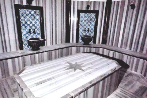 آپارتمان در Alanya ، ترکیه 1 خوابه ، 65 متر مربع. شماره 216858 - 11