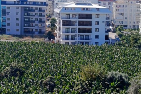 1+1 Wohnung  in Alanya, Antalya, Türkei Nr. 216853 - 6
