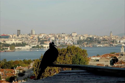 12+3 Villa  i istanbul, Turkiet Nr. 98184 - 26