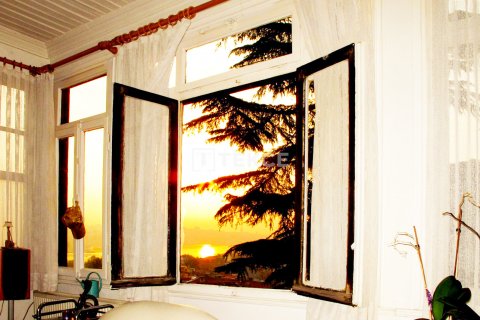 12+3 Villa  i istanbul, Turkiet Nr. 98184 - 20