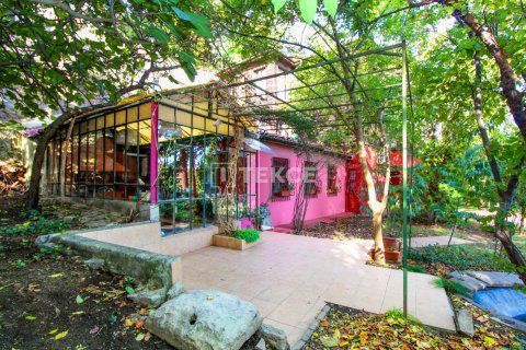 12+3 Villa  i istanbul, Turkiet Nr. 98184 - 3