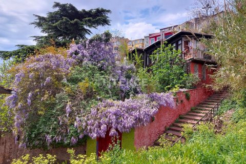 12+3 Villa  i istanbul, Turkiet Nr. 98184 - 23