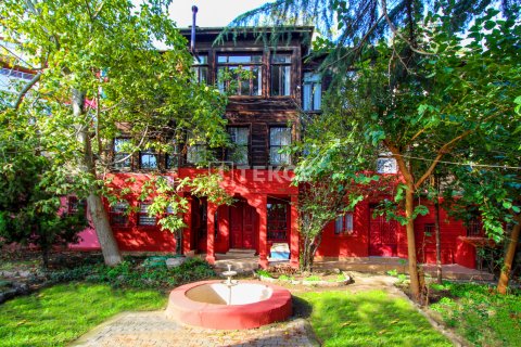 12+3 Villa  in Istanbul, Türkei Nr. 98184