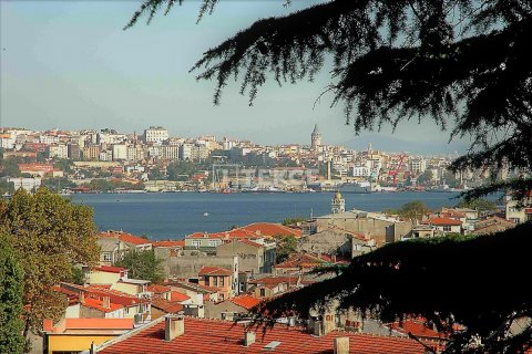 12+3 Villa  i istanbul, Turkiet Nr. 98184 - 25