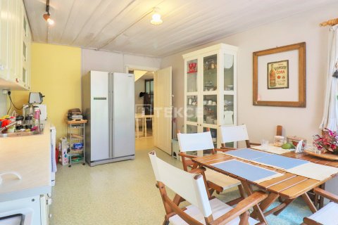 12+3 Villa  i istanbul, Turkiet Nr. 98184 - 12