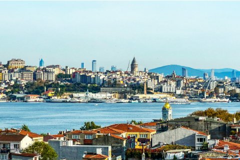 12+3 Villa  i istanbul, Turkiet Nr. 98184 - 2