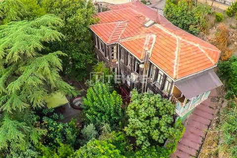 12+3 Villa  i istanbul, Turkiet Nr. 98184 - 22