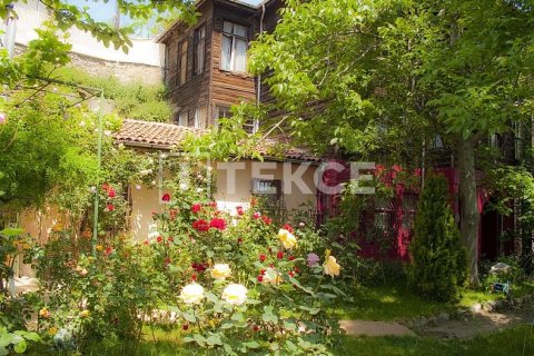 12+3 Villa  i istanbul, Turkiet Nr. 98184 - 24