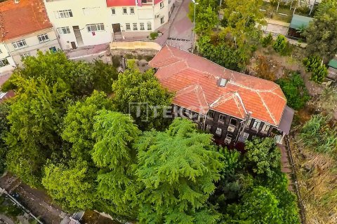12+3 Villa  i istanbul, Turkiet Nr. 98184 - 21