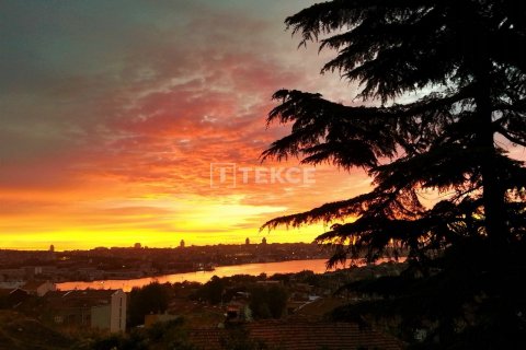 12+3 Villa  i istanbul, Turkiet Nr. 98184 - 28