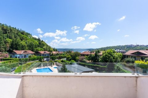 5+1 Villa i Istanbul, Tyrkiet Nr. 222745 - 2