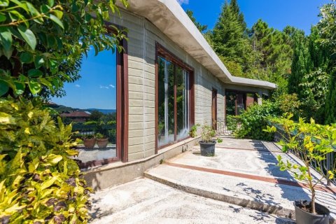 5+1 Villa i Istanbul, Tyrkiet Nr. 222745 - 10
