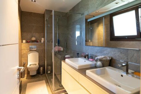 5+1 Villa i Istanbul, Tyrkiet Nr. 222745 - 3