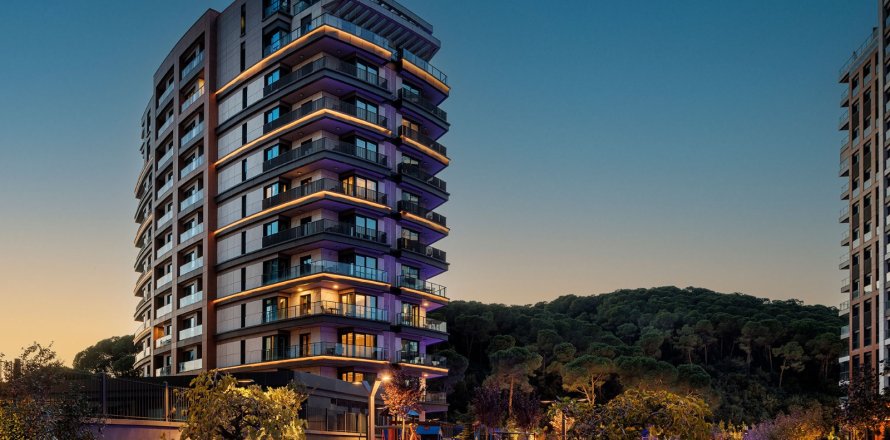2+1 Lejlighed i Istanbul, Tyrkiet Nr. 222661