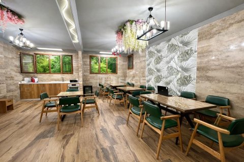 Продажа отеля  в Стамбуле, Турция, 700м2, №232281 – фото 3