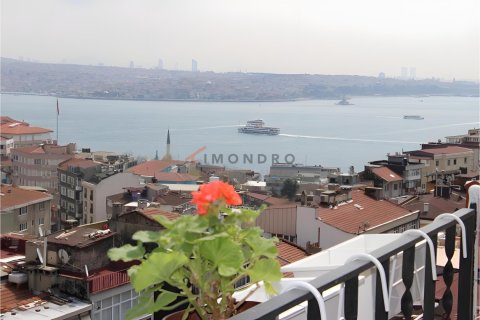 2+1 Apartment in Beyoglu, Istanbul, Turkey No. 223239