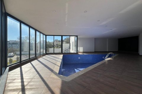 1+1 Wohnung in Avsallar, Antalya, Türkei Nr. 228236 - 12