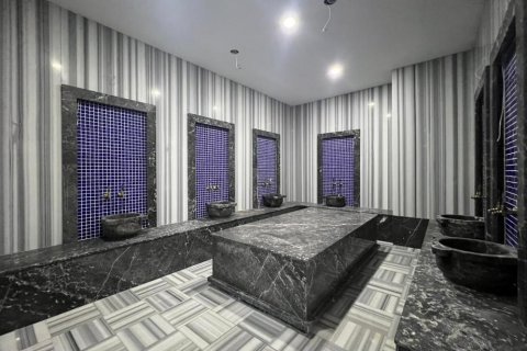1+1 Wohnung in Avsallar, Antalya, Türkei Nr. 228236 - 17