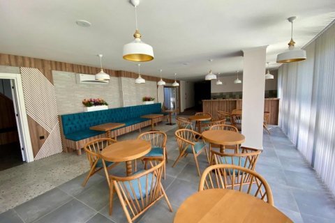 1+1 Wohnung in Avsallar, Antalya, Türkei Nr. 228239 - 29