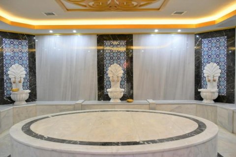 1+1 Wohnung in Avsallar, Antalya, Türkei Nr. 228239 - 20