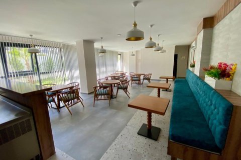 1+1 Wohnung in Avsallar, Antalya, Türkei Nr. 228239 - 30
