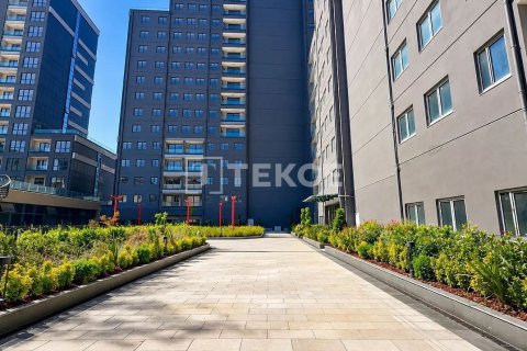 آپارتمان در  Istanbul ، ترکیه 1 خوابه ، 48 متر مربع.  شماره 227175 - 12