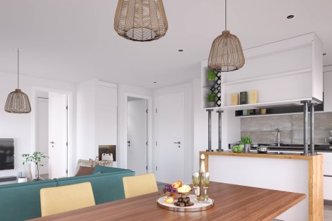 Пентхаус в Aphrodite Wellness 3+1, Газиверен, Гюзельюрт, Северный Кипр №98621