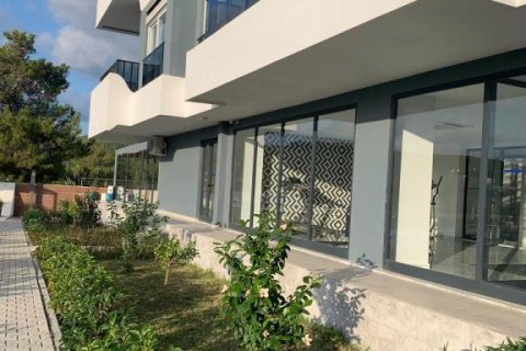 Leilighet i Avsallar, Antalya, Tyrkia Nr. 228024 - 14