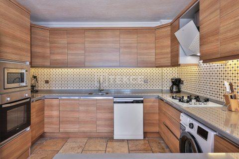 4+1 Villa i Kas, Antalya, Turkiet Nr. 221826 - 25