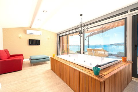 4+1 Villa i Kas, Antalya, Turkiet Nr. 221825 - 22