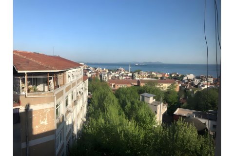 3+1 Wohnung in Fatih, Istanbul, Türkei Nr. 226801 - 3