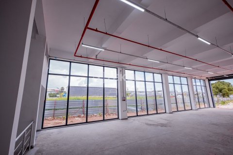 Продажа коммерческой недвижимости  в Анталье, Турция, 579м2, №225301 – фото 14