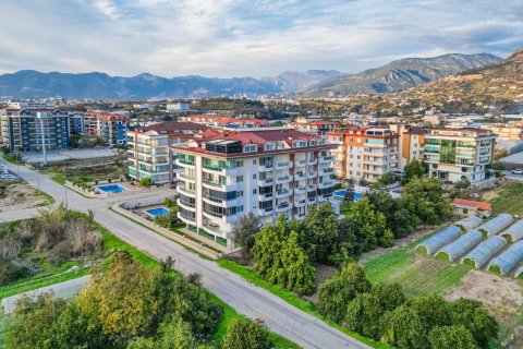 1+1 Wohnung  in Kestel, Antalya, Türkei Nr. 218185 - 12