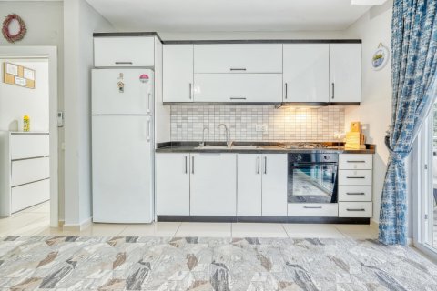 1+1 Wohnung  in Kestel, Antalya, Türkei Nr. 218185 - 7