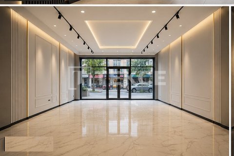 Gewerbeimmobilien in Istanbul, Türkei Nr. 225541 - 4