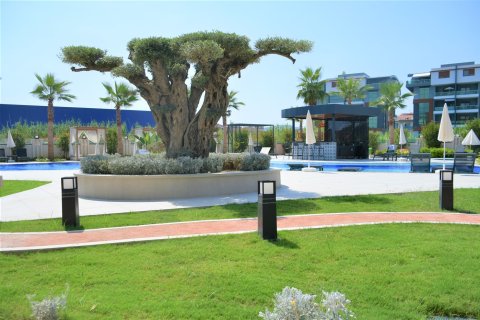 Apartment for sale  in Oba, Antalya, Turkey, 78m2, No. 222346 – photo 15